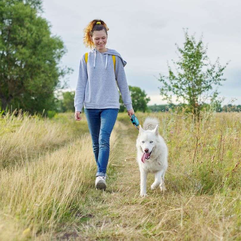 Dog Walking