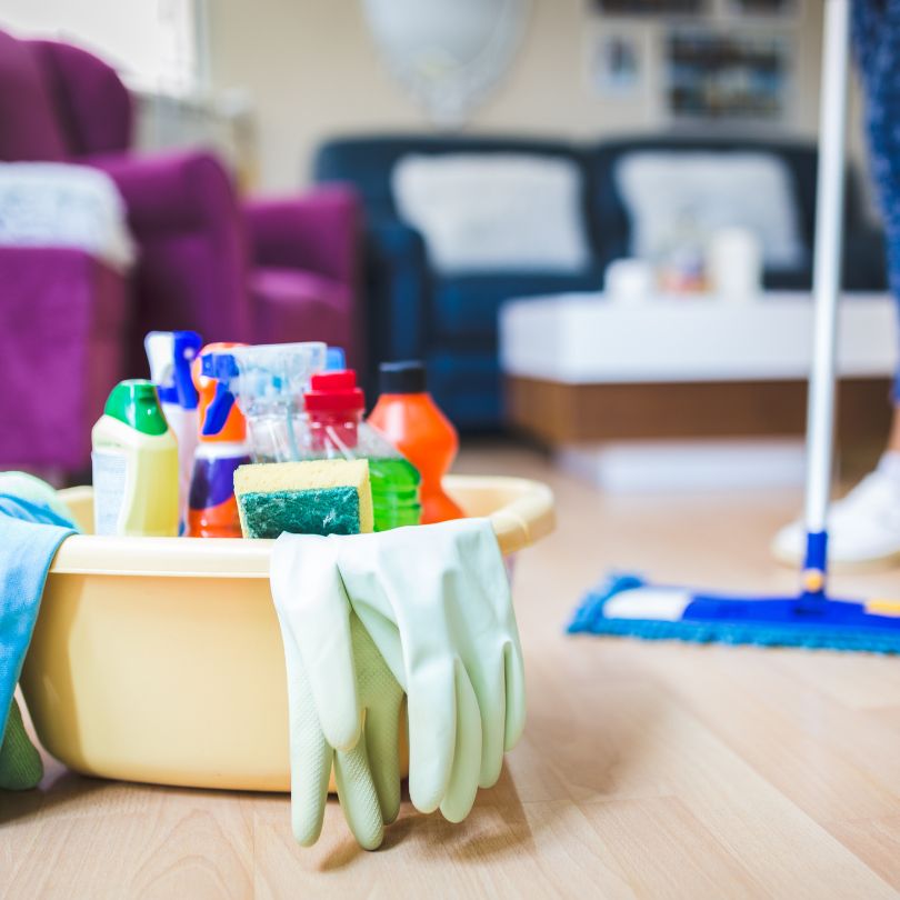 Domestic Assistance